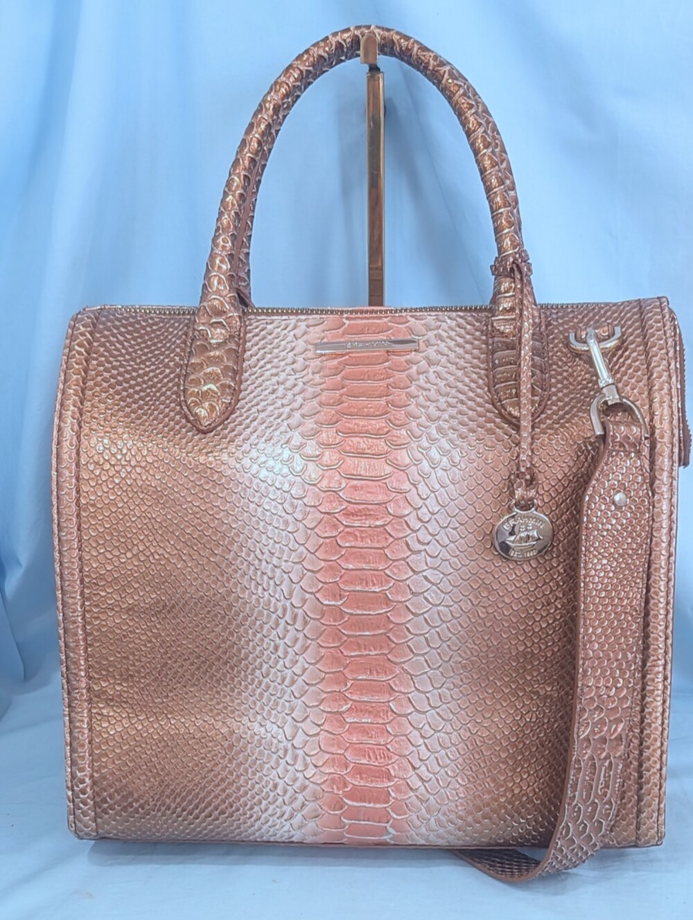 EUC Brahmin Natural CocoBay Large Caroline